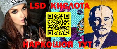 стафф Кандалакша
