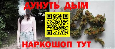 стафф Кандалакша