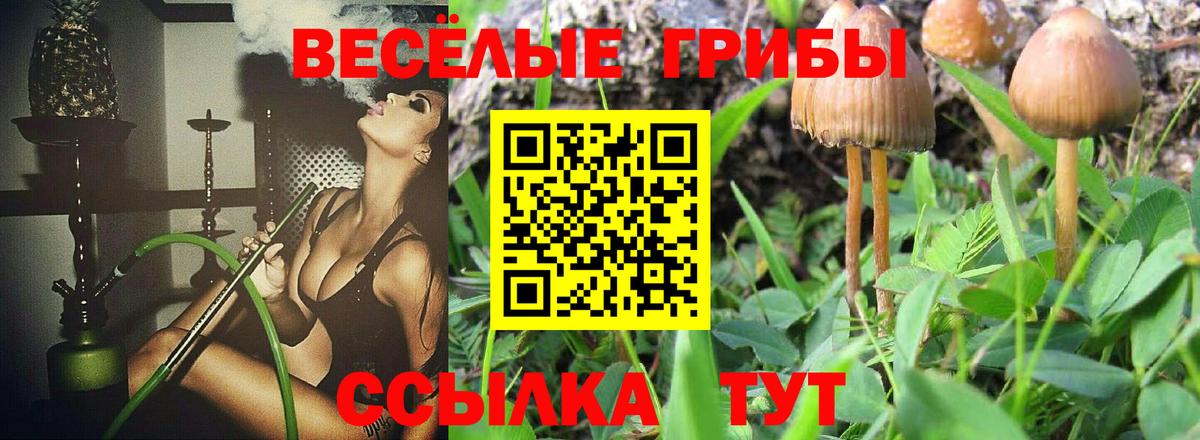 Псилоцибиновые грибы прущие грибы Кунгур