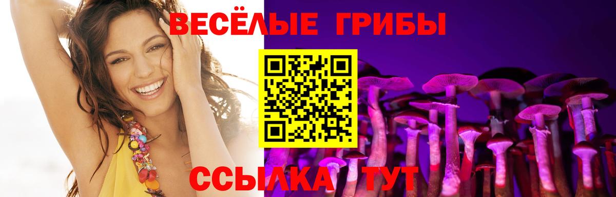 Псилоцибиновые грибы Cubensis  купить   Псилоцибиновые грибы мухоморы  Кунгур  Вход с VPN 